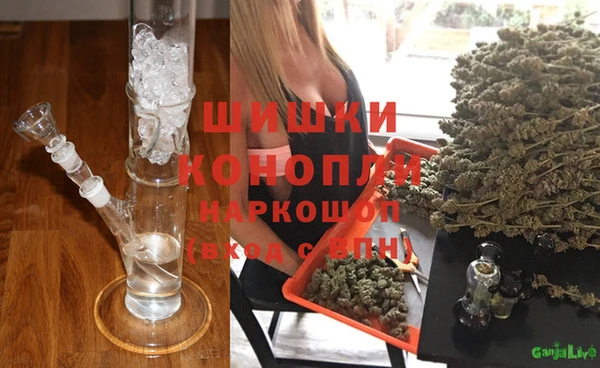 СК Аркадак
