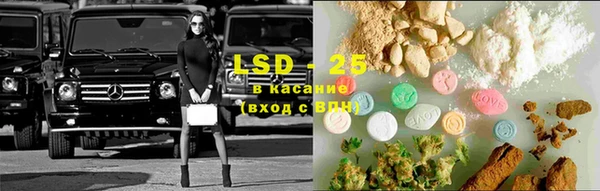 ПСИЛОЦИБИНОВЫЕ ГРИБЫ Баксан