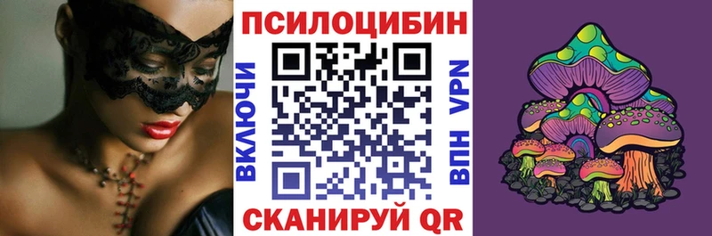 где купить наркоту  Болотное  Псилоцибиновые грибы Psilocybe 